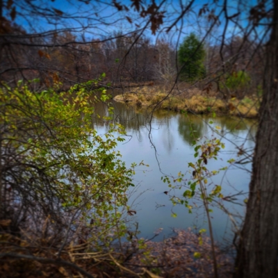 Very calm blue water surrounded by autumn woods and some green foliage under a rich blue sky.