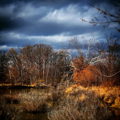 Dark, stormy sky in blue tones brightly contrasted against dry grass and bare autumn trees in warm tones