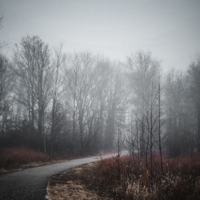Curving road toward foggy late autumn trees in tones of gray, white, and reddish brown.