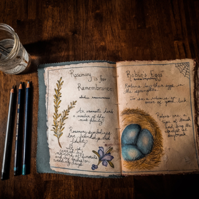Aged sketchbook open to handwritten lore and drawings of rosemary and a nest of blue robin's eggs